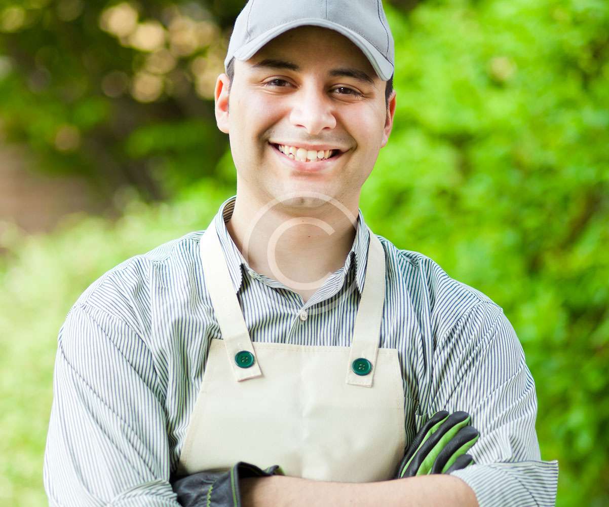 Team Member 2
