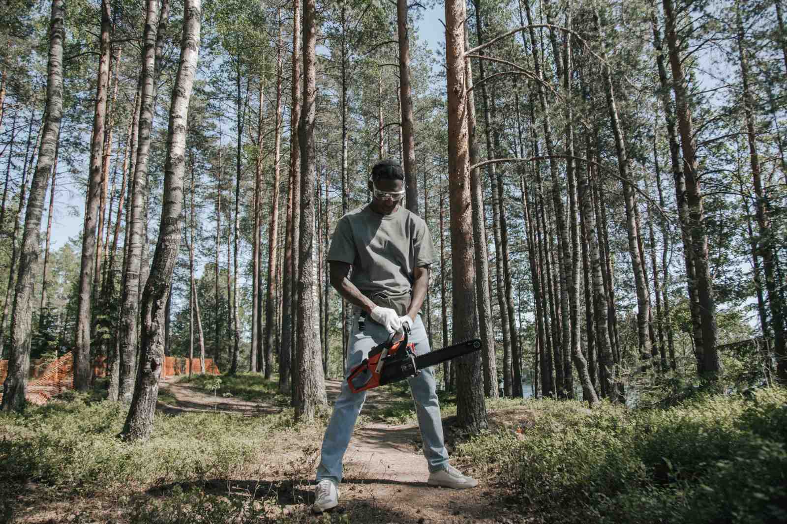 tree_cutting_200kb