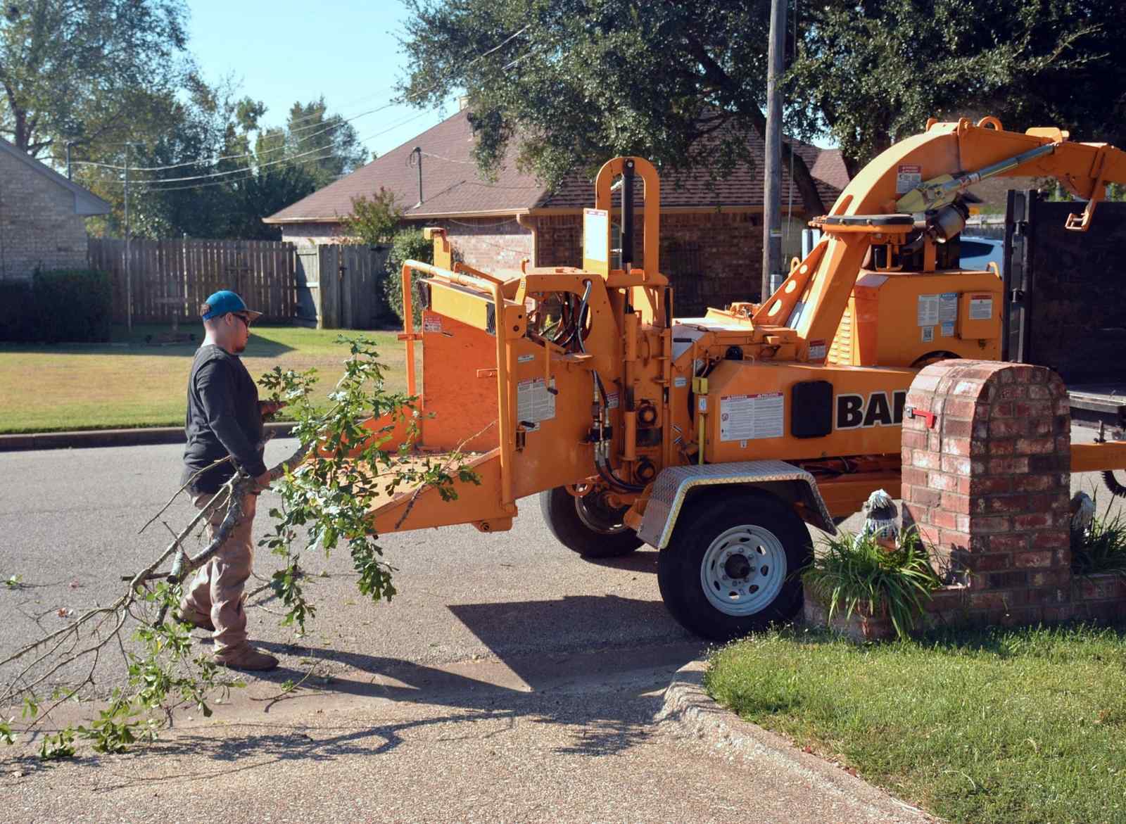 tree_service_200kb